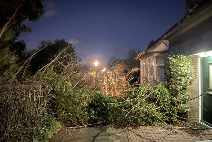 Twee omgewaaide bomen beschadigde woning