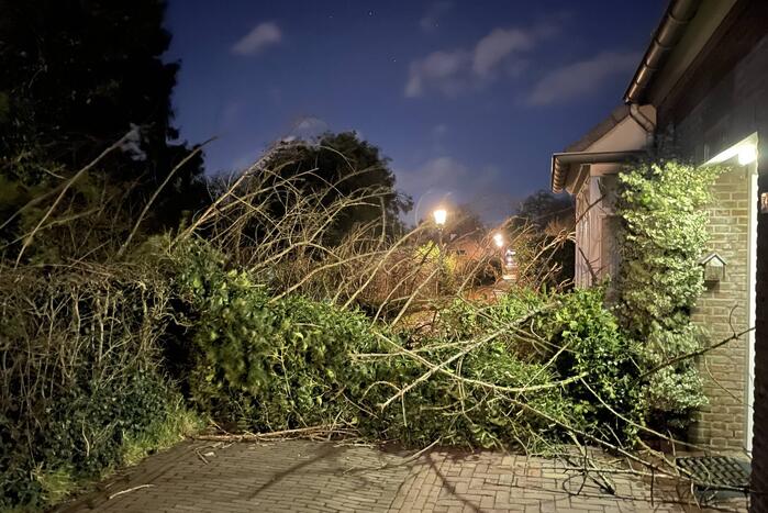 Twee omgewaaide bomen beschadigde woning