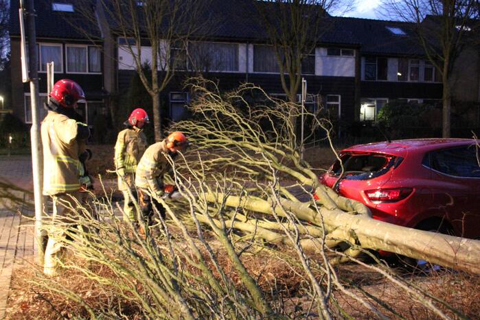 Autoruit gesneuveld door omgewaaide boom storm Dudley
