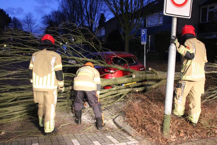 Autoruit gesneuveld door omgewaaide boom storm Dudley