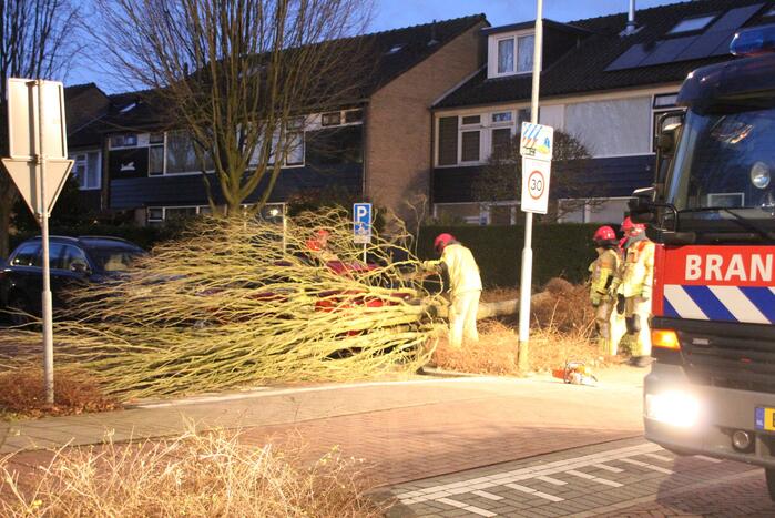 Autoruit gesneuveld door omgewaaide boom storm Dudley