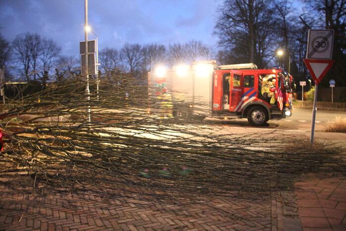 Autoruit gesneuveld door omgewaaide boom storm Dudley