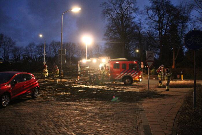 Autoruit gesneuveld door omgewaaide boom storm Dudley