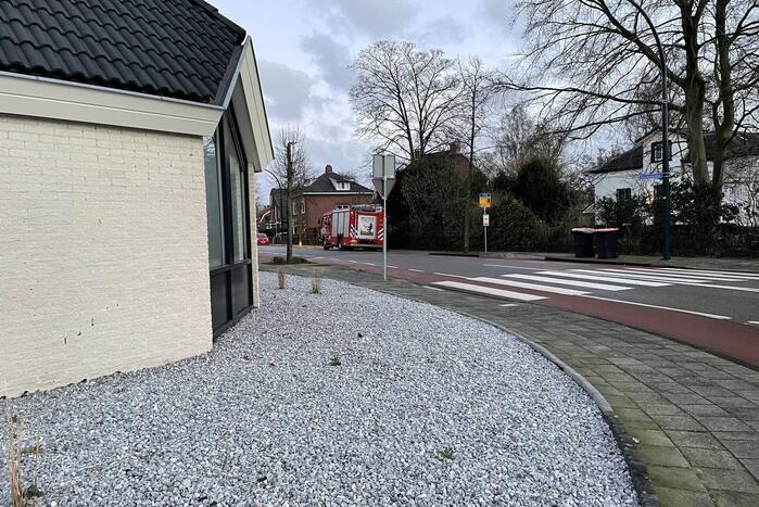 Grote boom omgelegd door storm Dudley