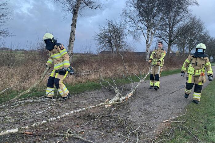 Boom omgewaaid op wegdek door storm Dudley