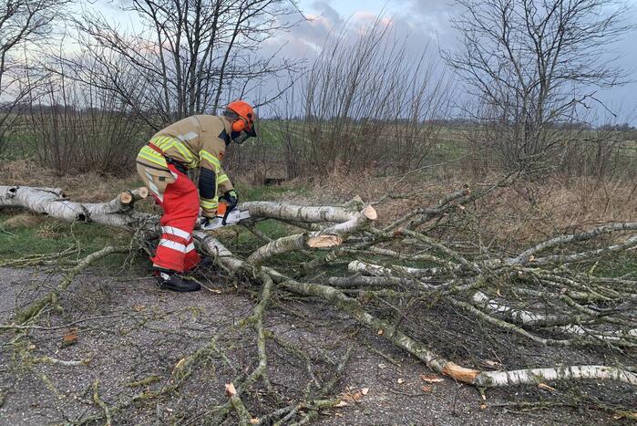 Boom omgewaaid op wegdek door storm Dudley