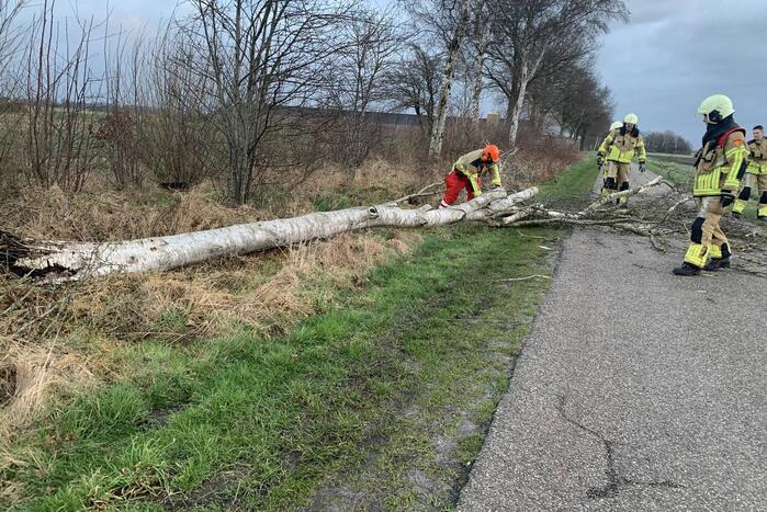 Boom omgewaaid op wegdek door storm Dudley