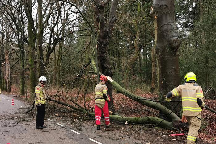Brandweer zaagt grote tak in stukken