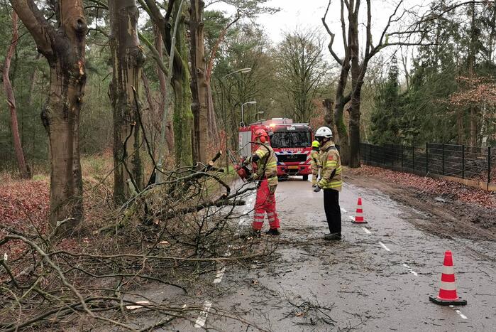 Brandweer zaagt grote tak in stukken