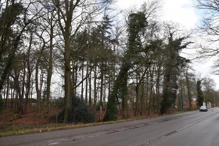 Brandweer laat boom gecontroleerd omvallen