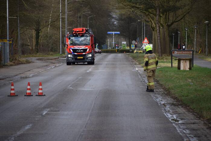 Brandweer laat boom gecontroleerd omvallen