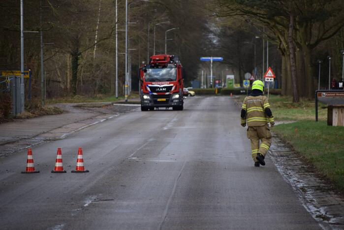 Brandweer laat boom gecontroleerd omvallen