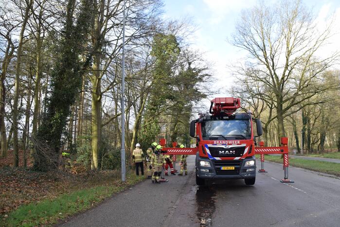 Brandweer laat boom gecontroleerd omvallen