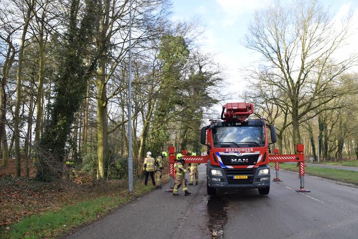 Brandweer laat boom gecontroleerd omvallen