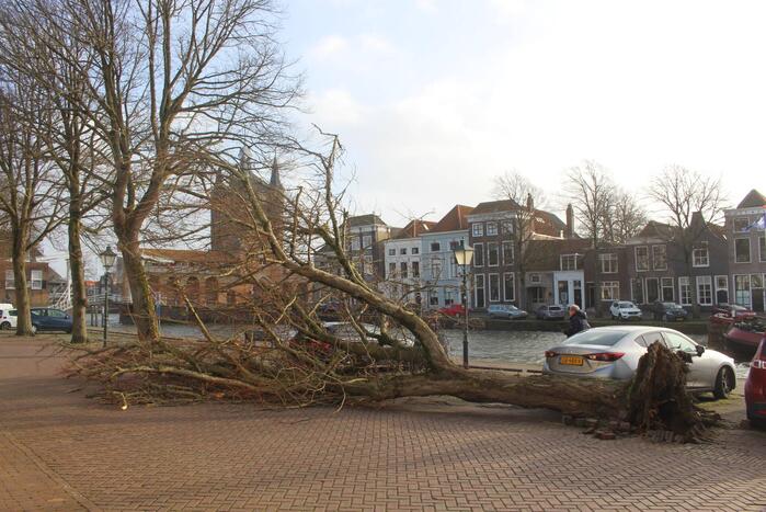 Boom waait rakelings om achter auto