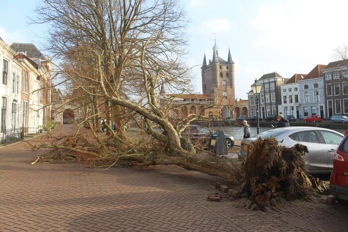 Boom waait rakelings om achter auto