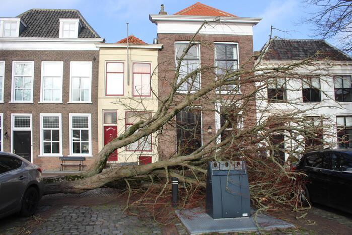 Boom waait rakelings om achter auto