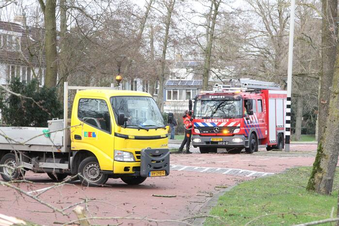 Boom blokkeert weg bij winkelcentrum