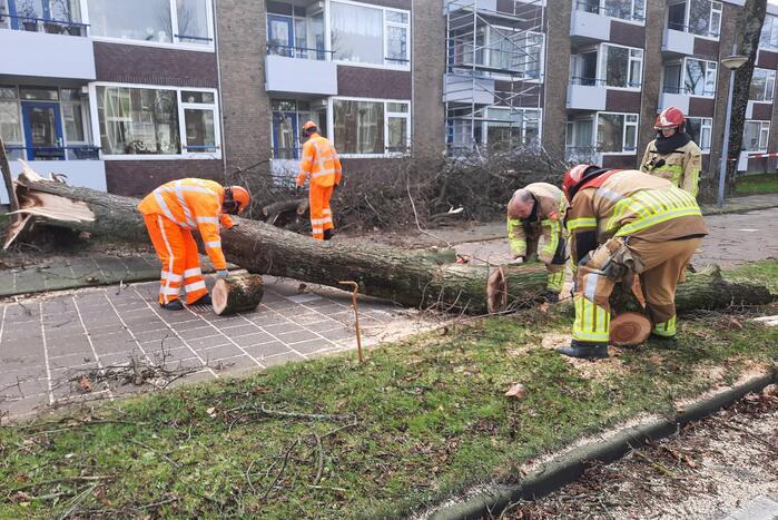 Grote boom waait over fietspad