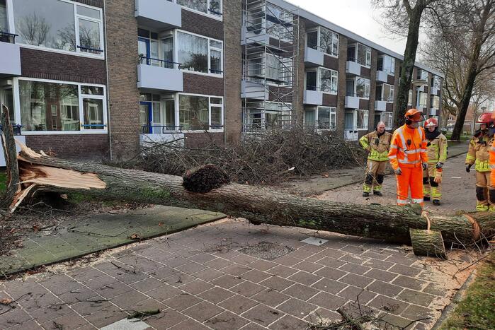 Grote boom waait over fietspad