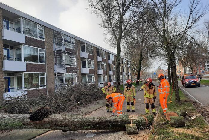 Grote boom waait over fietspad