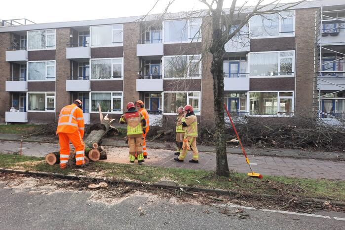 Grote boom waait over fietspad