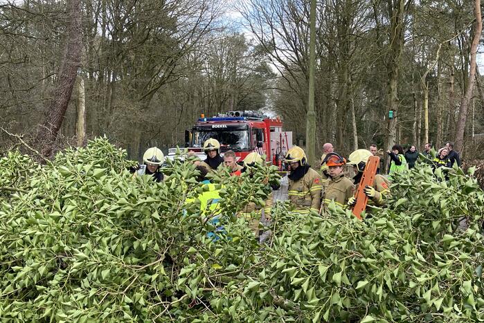 Vrouw en hond bekneld onder boom