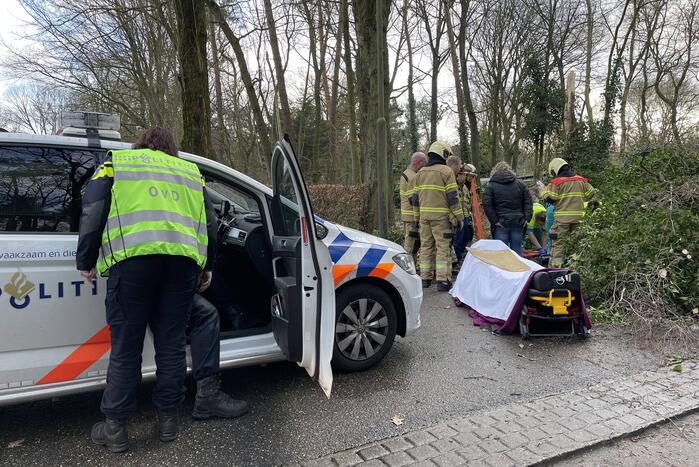 Vrouw en hond bekneld onder boom