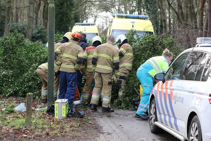 Vrouw en hond bekneld onder boom