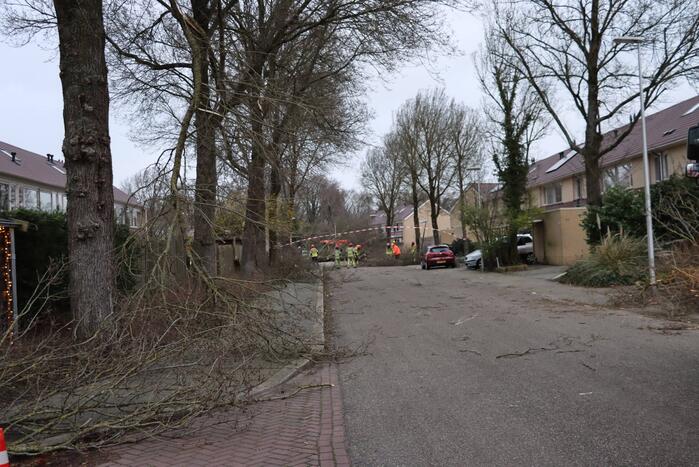 Drie bomen waaien om in dezelfde straat