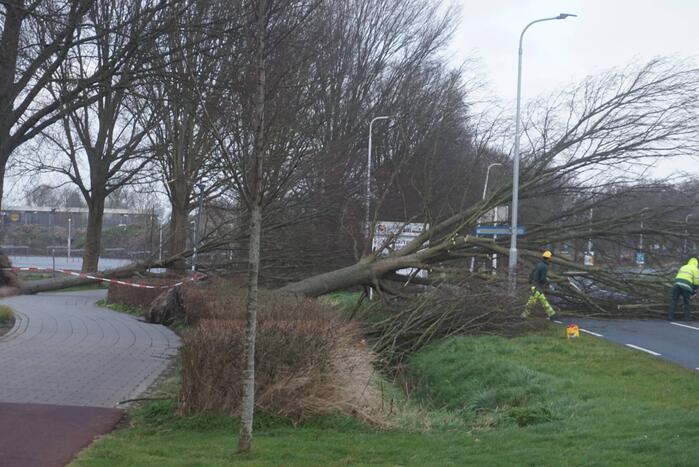 Omgewaaide boom blokkeren weg