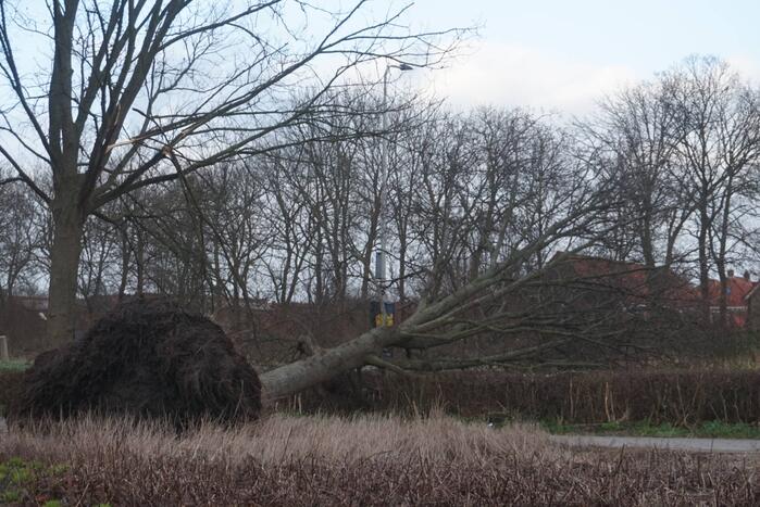Omgewaaide boom blokkeren weg