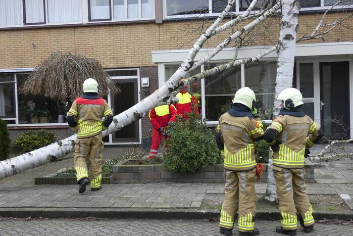 Boom waait tegen woning