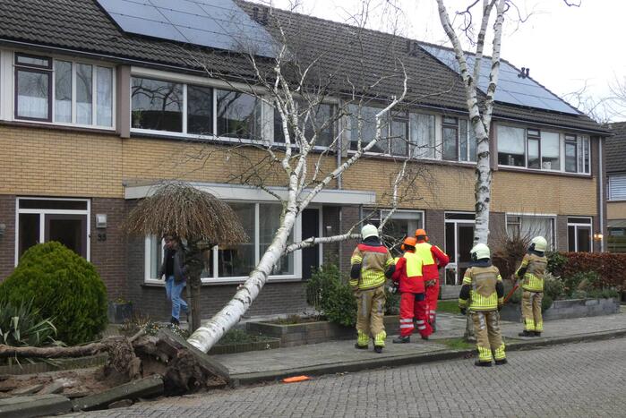 Boom waait tegen woning