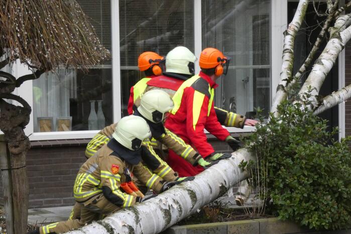 Boom waait tegen woning