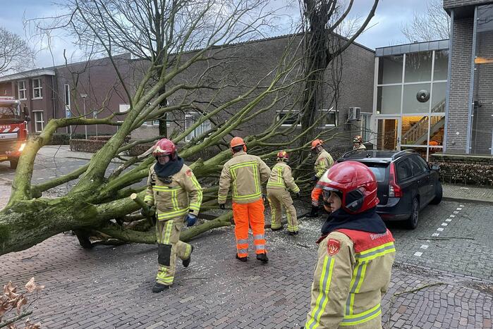 Grote boom valt op geparkeerde auto