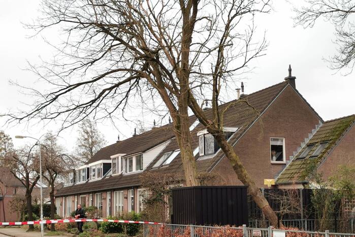 Grote boom omgezaagd door brandweer