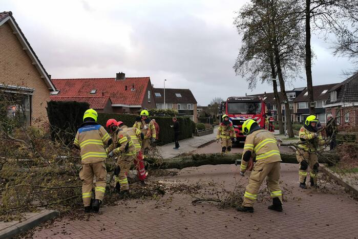 Grote boom omgezaagd door brandweer