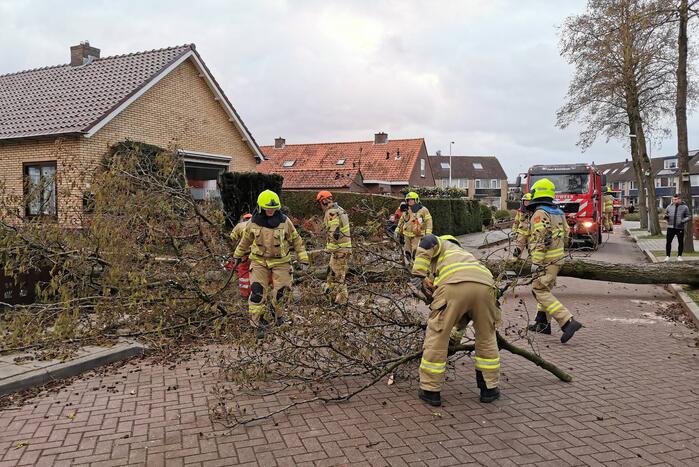 Grote boom omgezaagd door brandweer