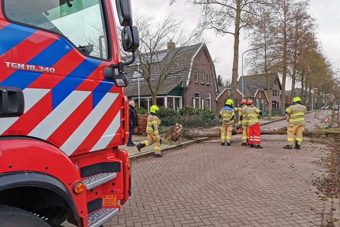 Grote boom omgezaagd door brandweer