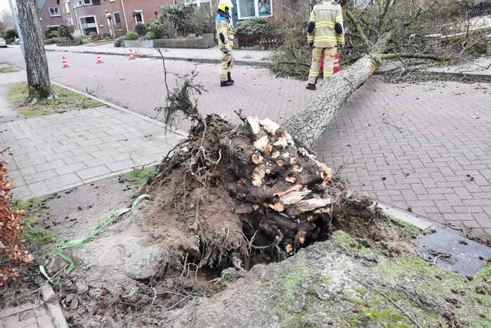 Grote boom omgezaagd door brandweer