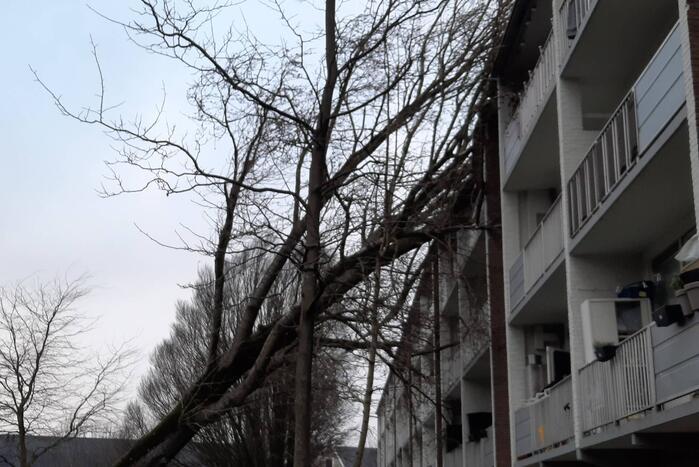 Boom waait tegen flat