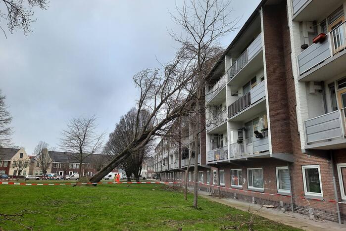 Boom waait tegen flat