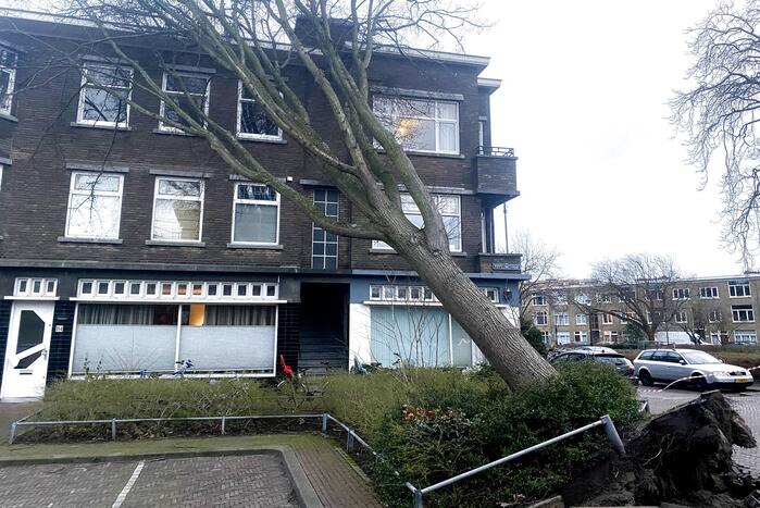 Grote boom waait tegen appartementencomplex aan