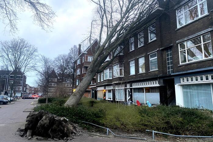 Grote boom waait tegen appartementencomplex aan