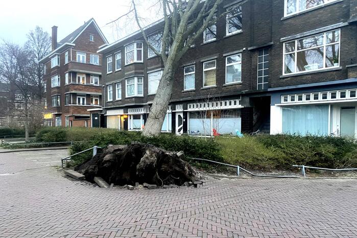 Grote boom waait tegen appartementencomplex aan