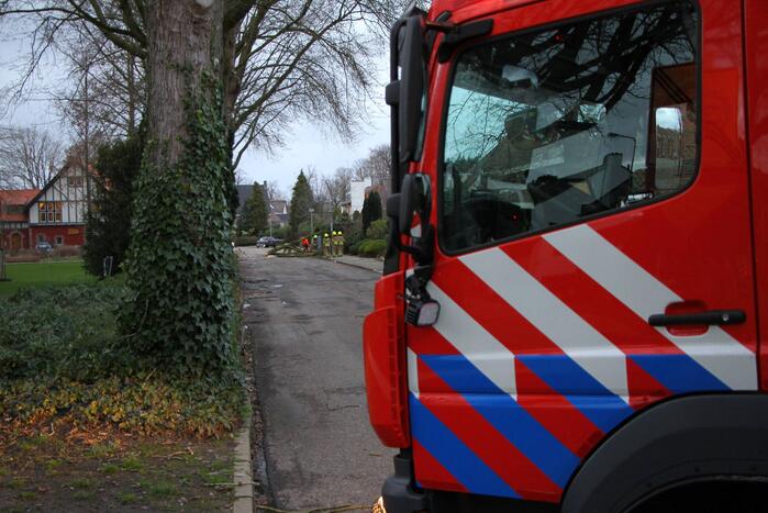 Grote tak breekt uit boom