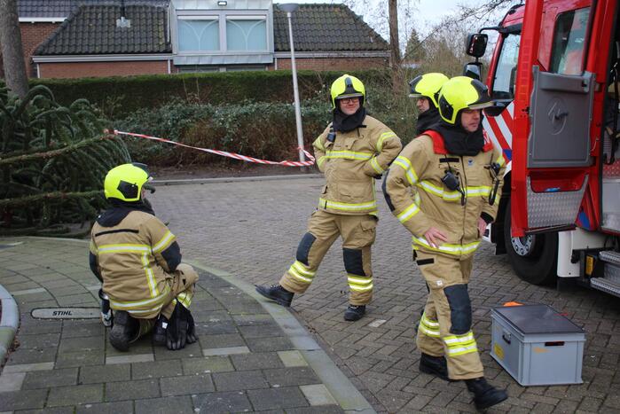Omgewaaide boom in voortuin