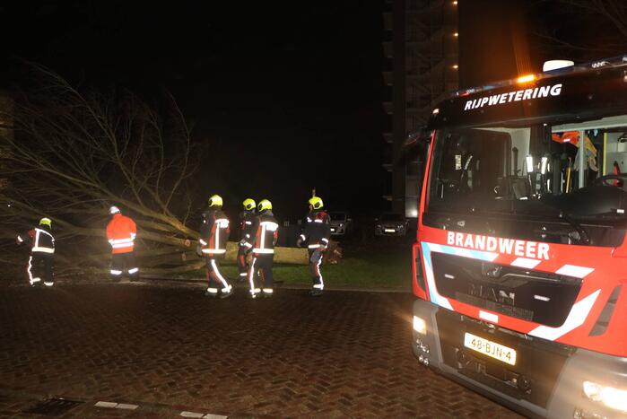 Boom blokkeert weggedeelte