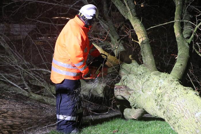 Boom blokkeert weggedeelte
